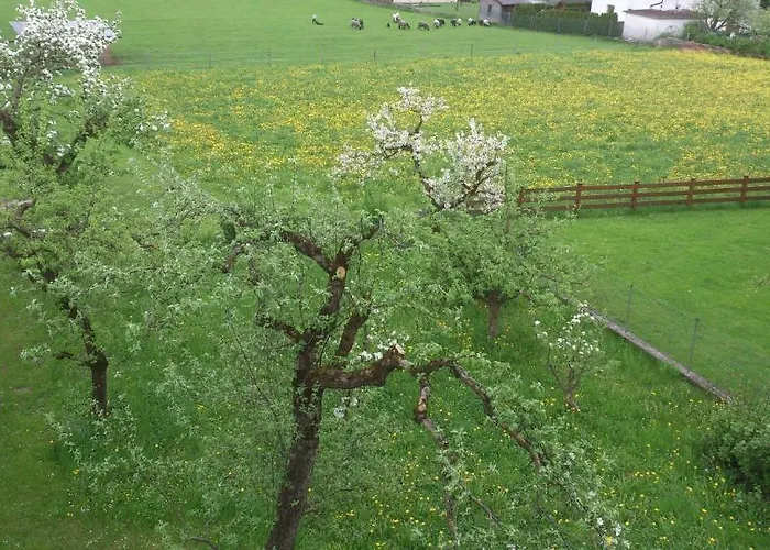 公寓 Spindlegger 舒里特斯