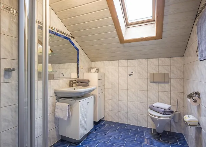 Spindlegger 舒里特斯